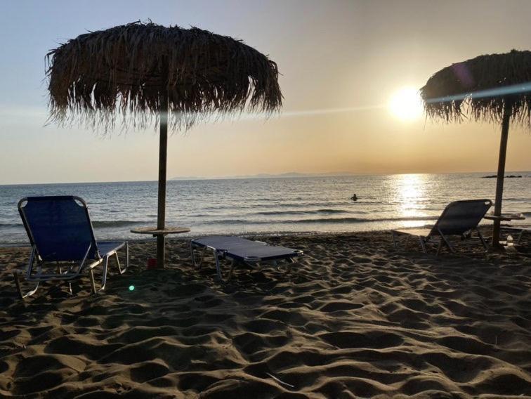 Villa Olympia سكافيديا المظهر الخارجي الصورة